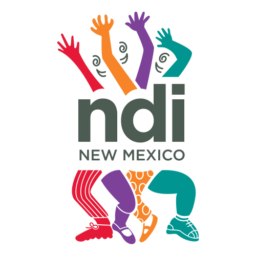 NDI-logo